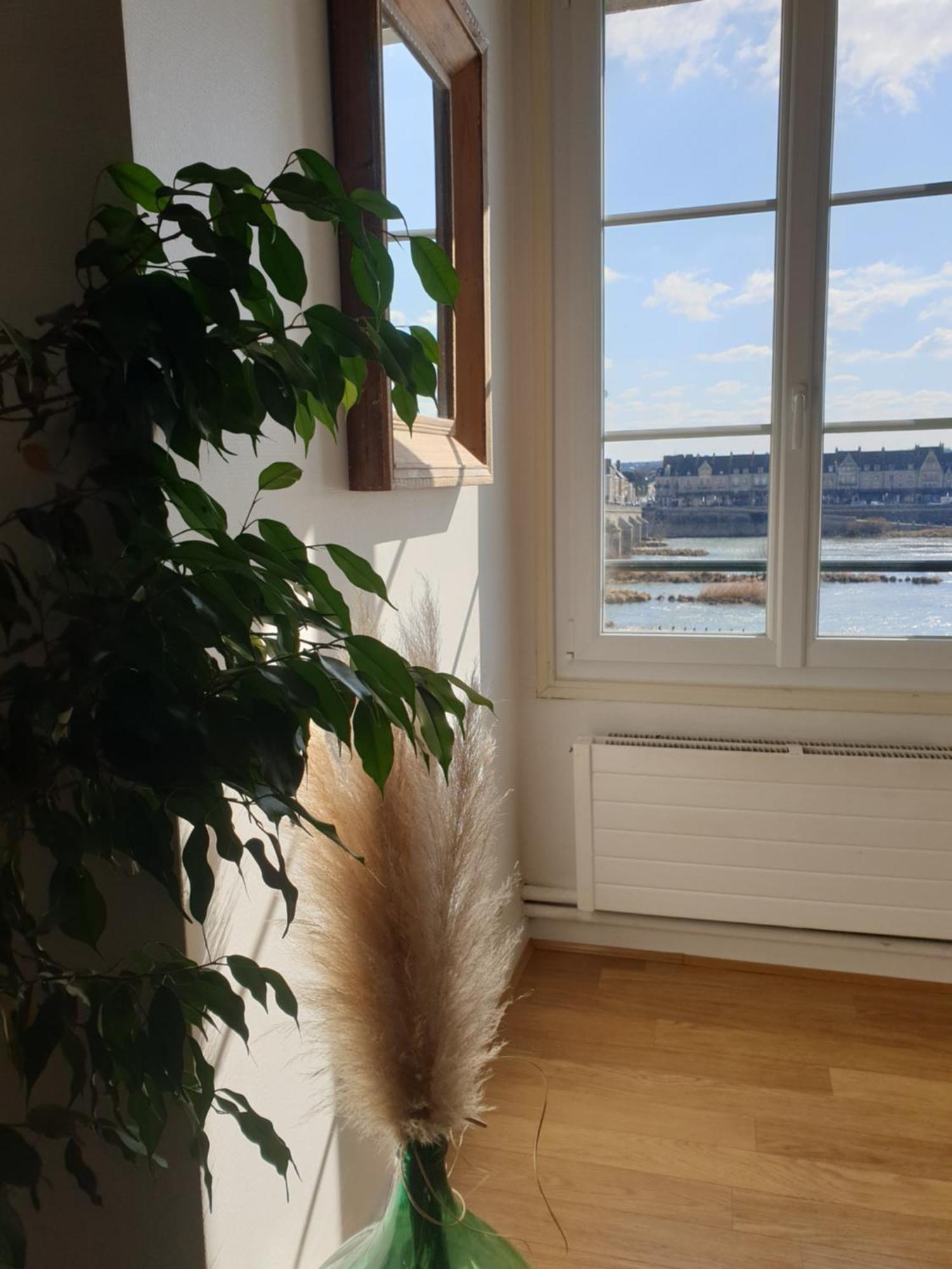 Blois, Vue Panoramique Loire Apartment ภายนอก รูปภาพ